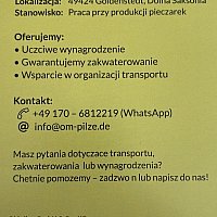 zdjecie ogloszenia