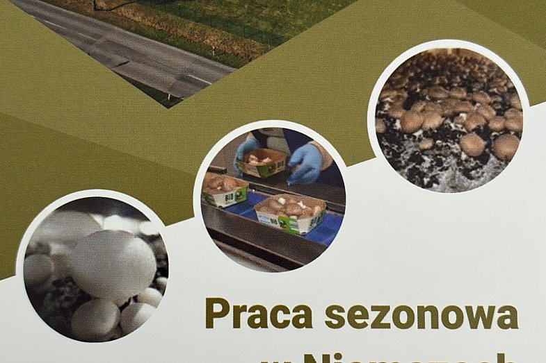 zdjecie ogloszenia