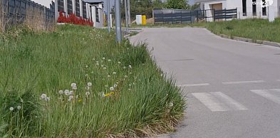 Ruszają inwestycje za środki szwajcarskie. Na pierwszy ogień chodniki