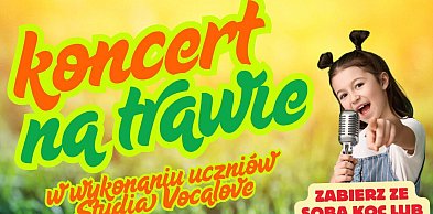 Koncert na trawie. Vocalove zaprasza na plenerowy występ!