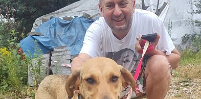 Znany piosenkarz i prezenter Norbi adoptował psa z powiatu koneckiego