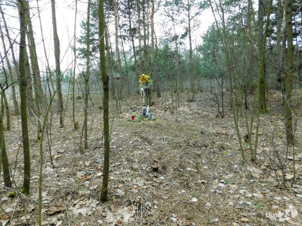 Miejsce rozstrzelania znajduje się w lesie, kilkadziesiąt metrów od głównej drogi biegnącej przez Młynek Nieświński.