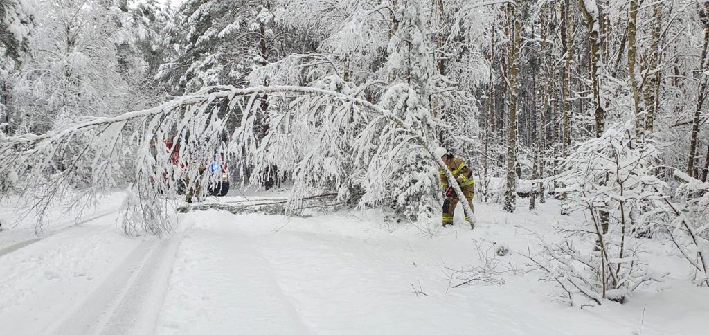 Skutki śnieżycy i silnego wiatru w powiecie koneckim