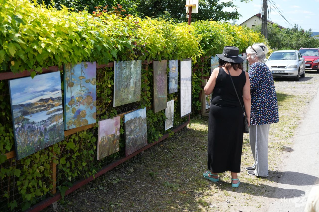 Wystawa sztuki na wiejskim ogrodzeniu, czyli 5. edycja Galerii na Płocie w Gosaniu [wideo, zdjęcia]