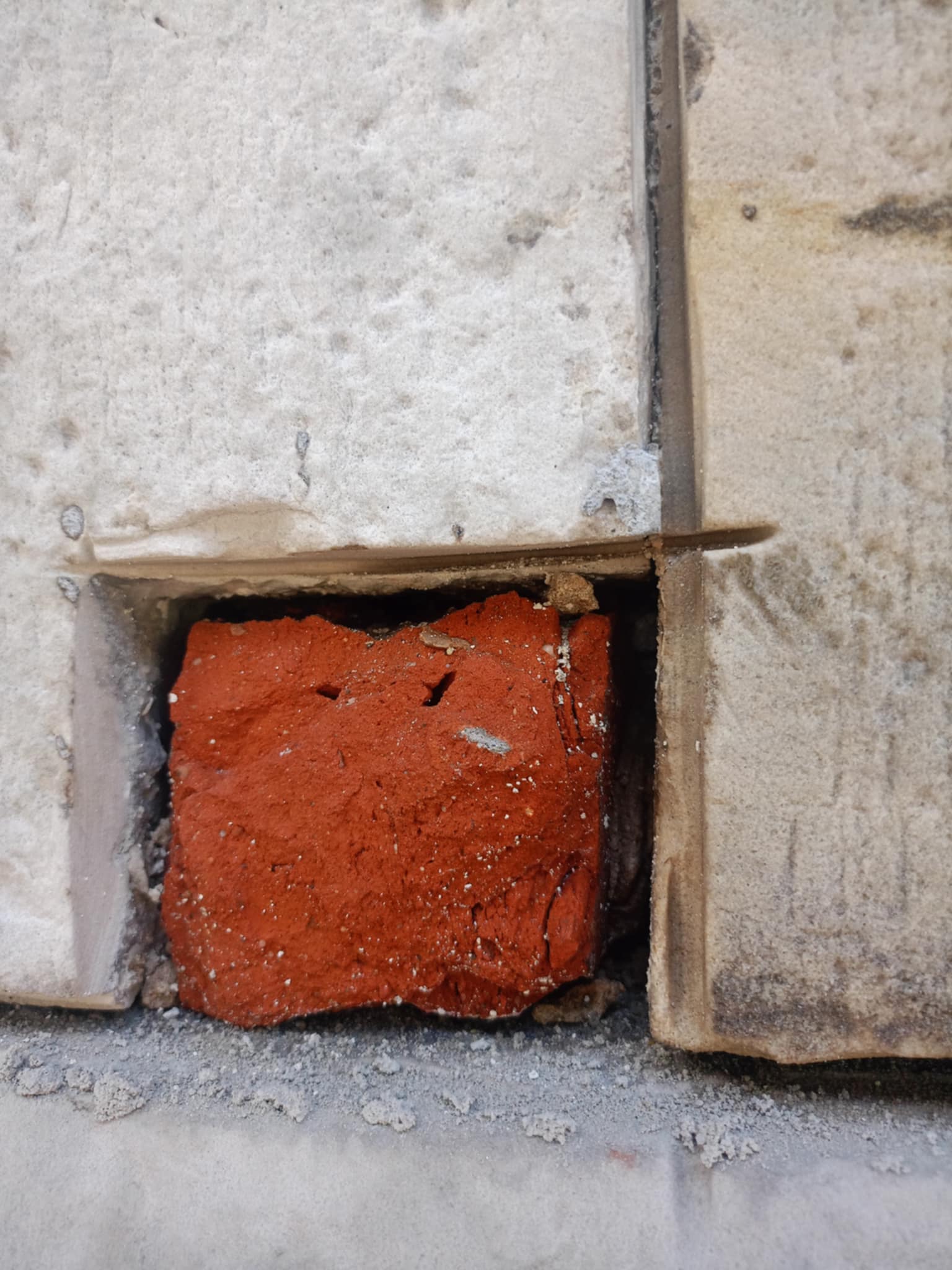 Wstrzymane prace przy Kolegiacie św. Mikołaja. Zainterweniowali mieszkańcy [wideo, zdjęcia]