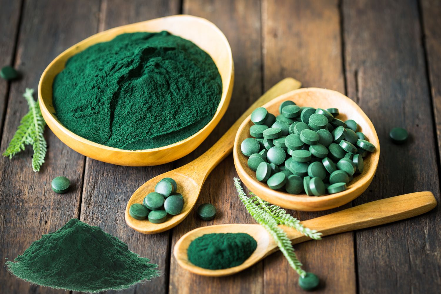 Spirulina