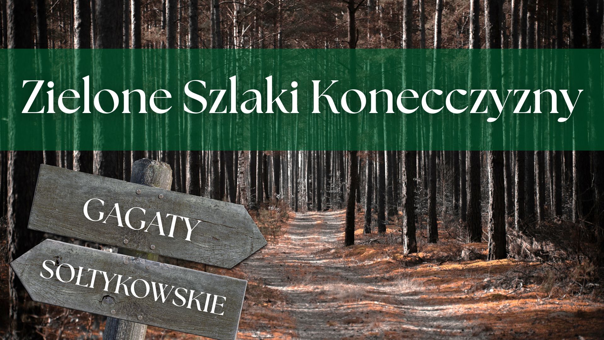 Zielone Szlaki Konecczyzny. Odcinek 5. Rezerwat Gagaty Sołtykowskie