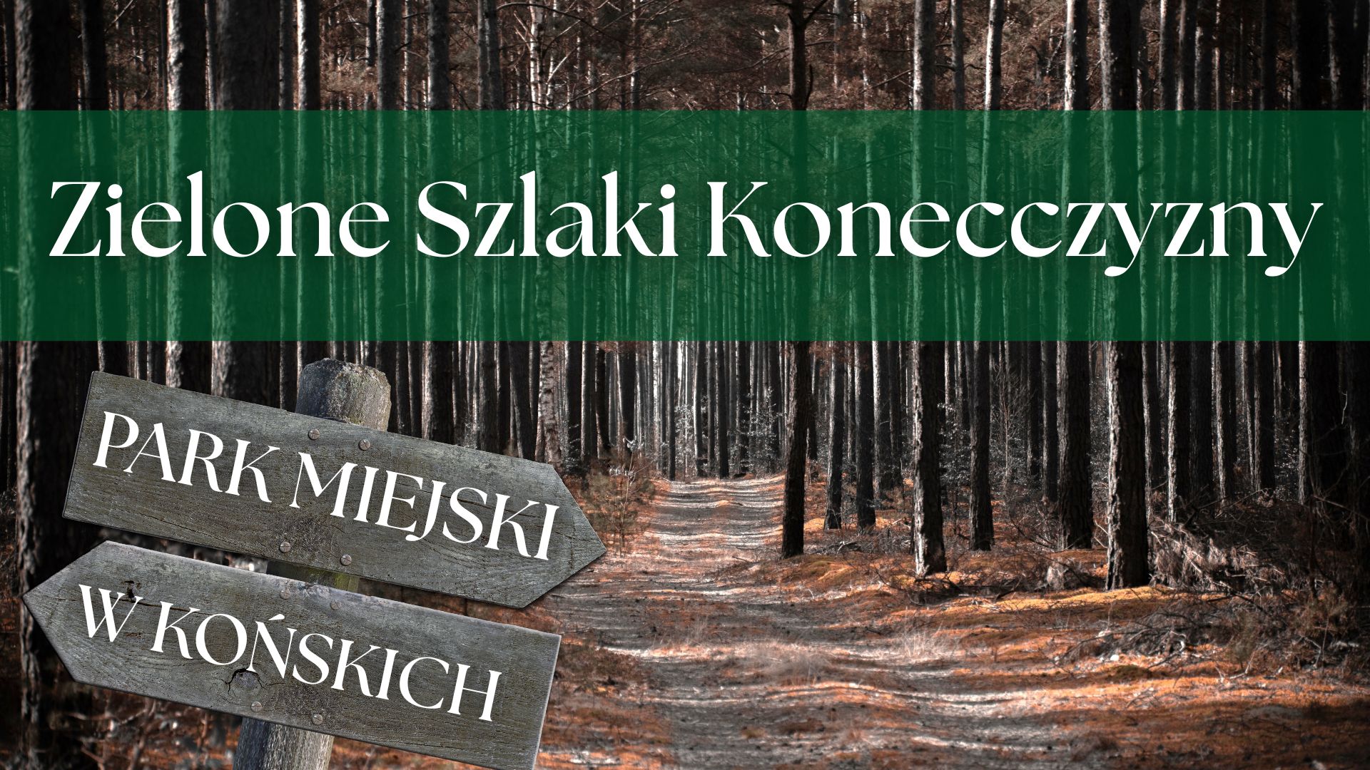 Zielone Szlaki Konecczyzny. Odcinek 3. Park Miejski w Końskich