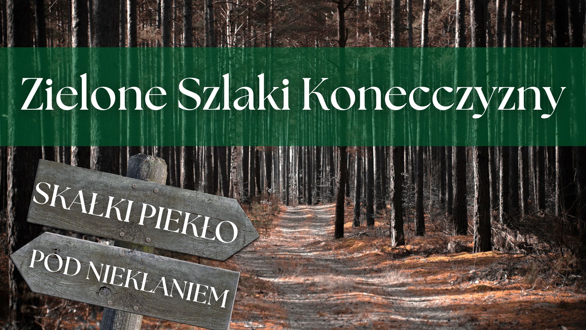 Zielone Szlaki Konecczyzny. Odcinek 4. Rezerwat Skałki Piekło pod Niekłaniem