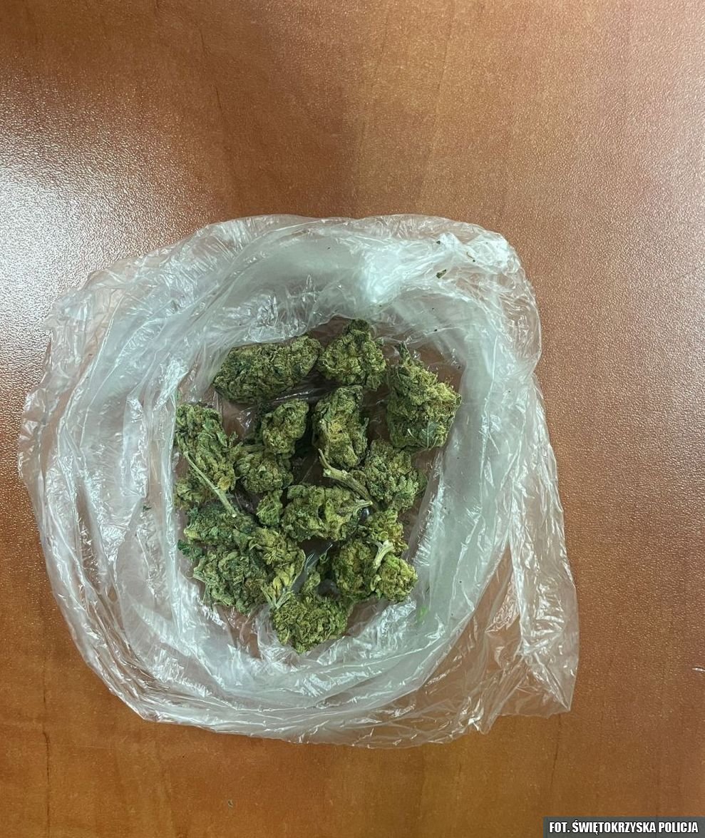 Miał przy sobie 6 gramów marihuany. Grozi mu do 3 lat więzienia