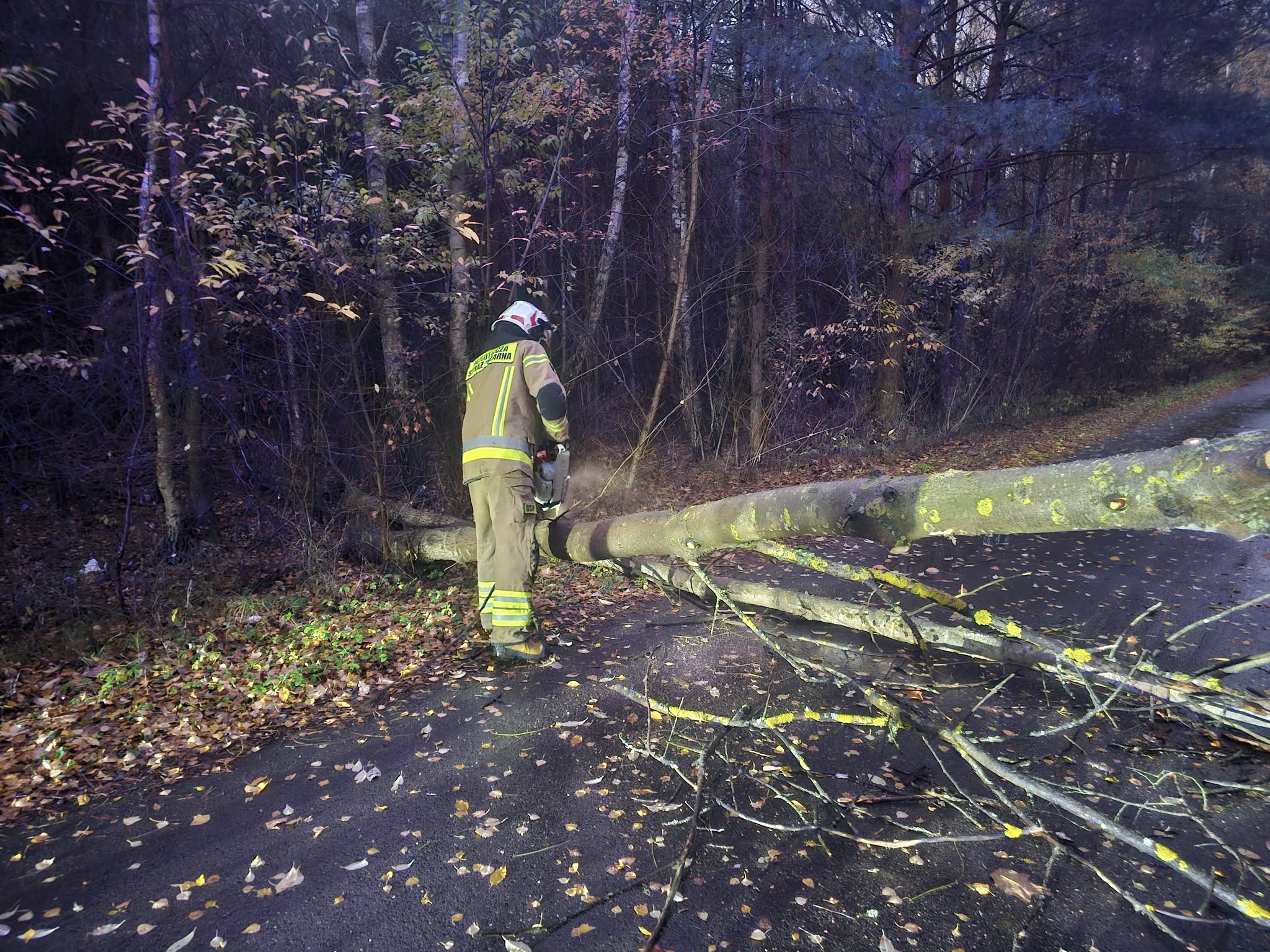 Silna wichura przechodzi przez Konecczyznę. Drzewa łamią się jak zapałki [zdjęcia]