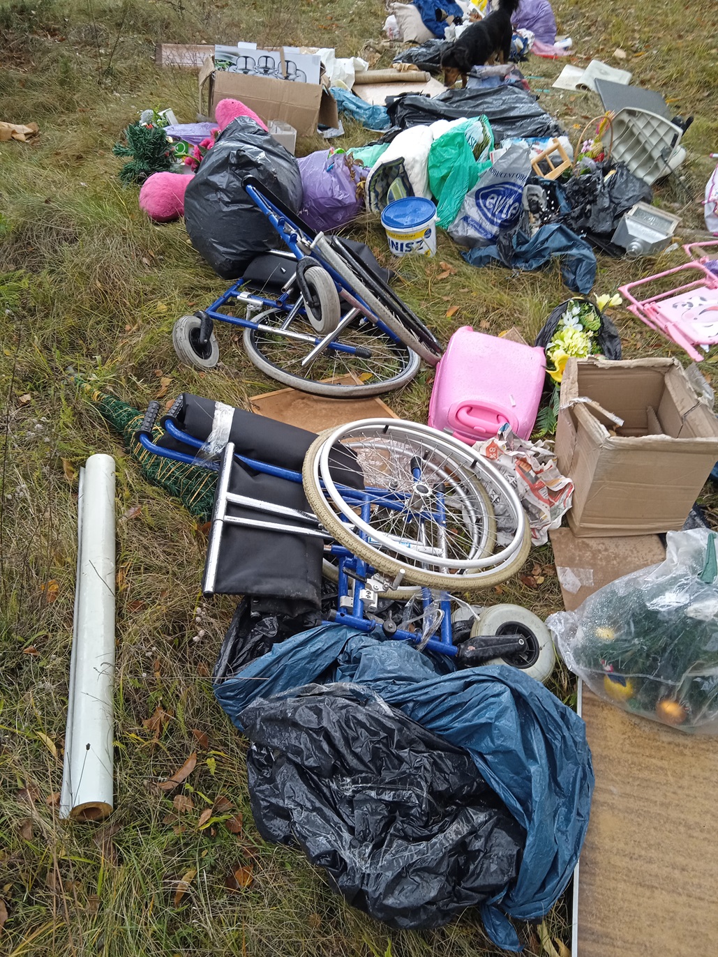 Czytelnik interweniuje. Śmietnik przy drodze w Rudzisku [zdjęcia]