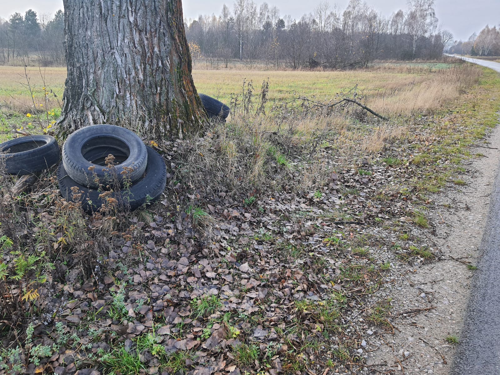 Zaśmiecone pobocze powiatówki. Czytelniczka interweniuje [zdjęcia]