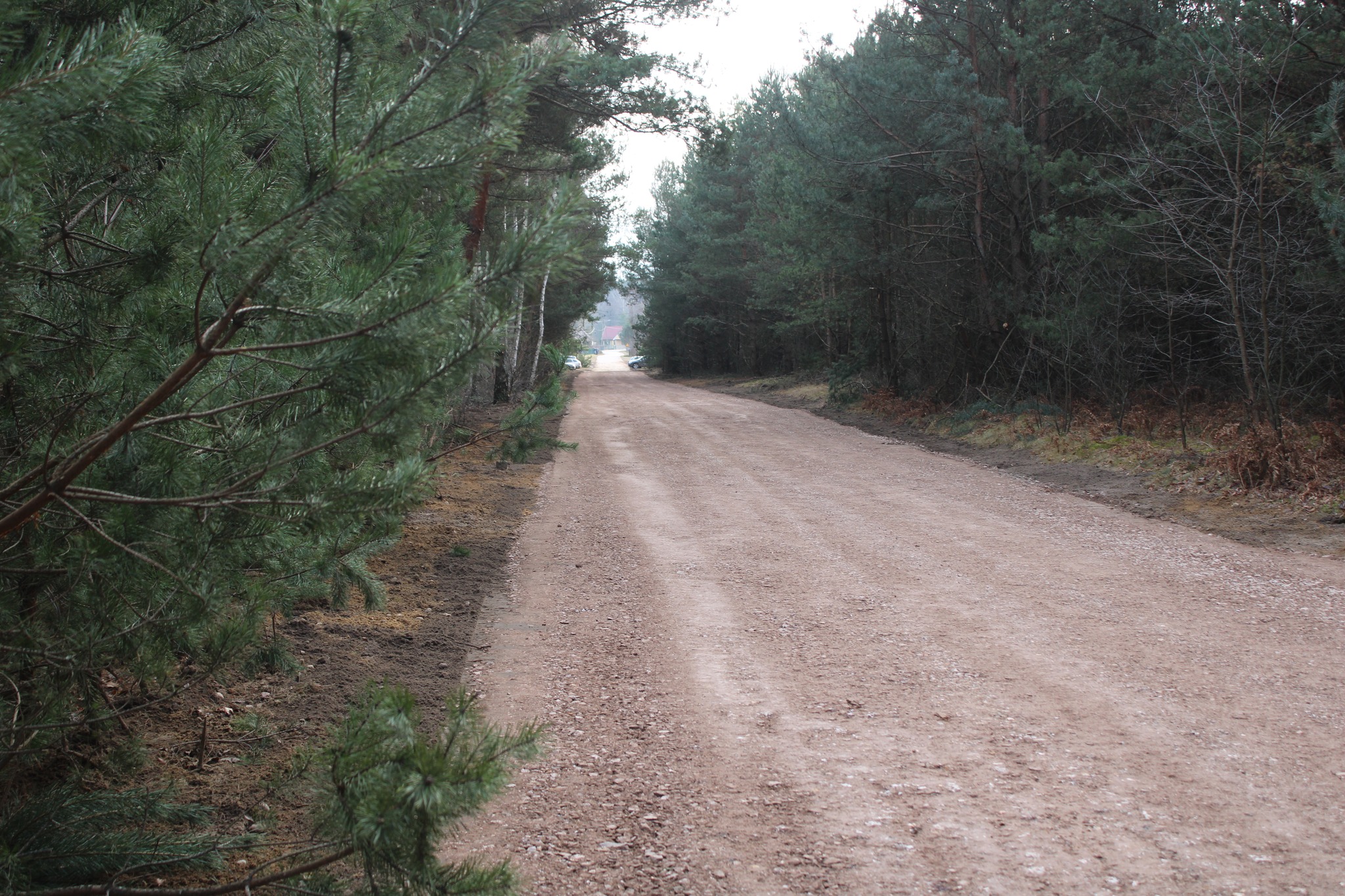 Gmina Smyków wraz z Nadleśnictwem Stąporków zadbała o drogę koło Miedzierzy [zdjęcia]