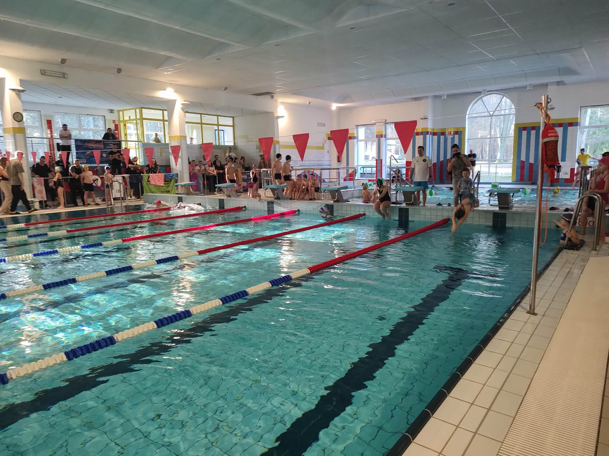 Mikołajkowe pływanie w Czarnieckiej Górze. Setka dzieci w wodzie [wideo, zdjęcia]