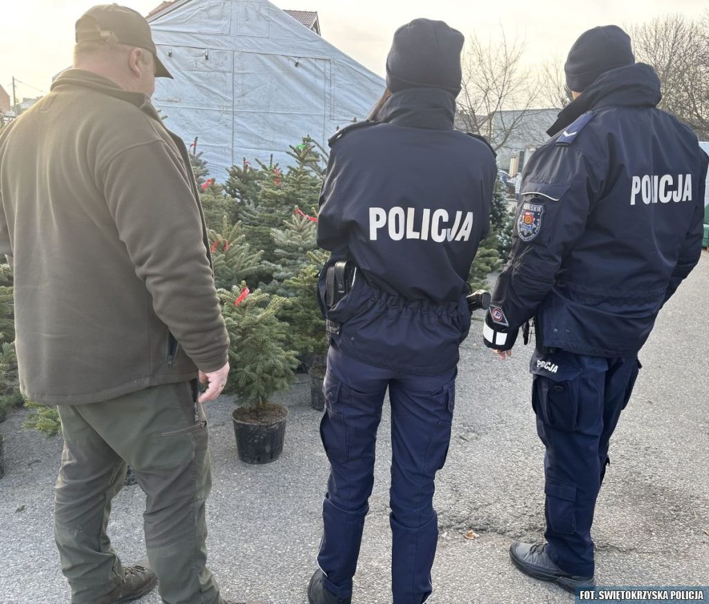 Przedświąteczne kontrole policjantów i strażników leśnych. Sprawdzają legalność choinek i drewna [zdjęcia]