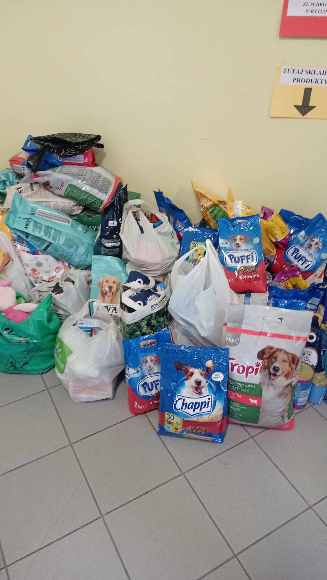 Wspólna inicjatywa szkoły i gminy dla dobra zwierząt [zdjęcia]