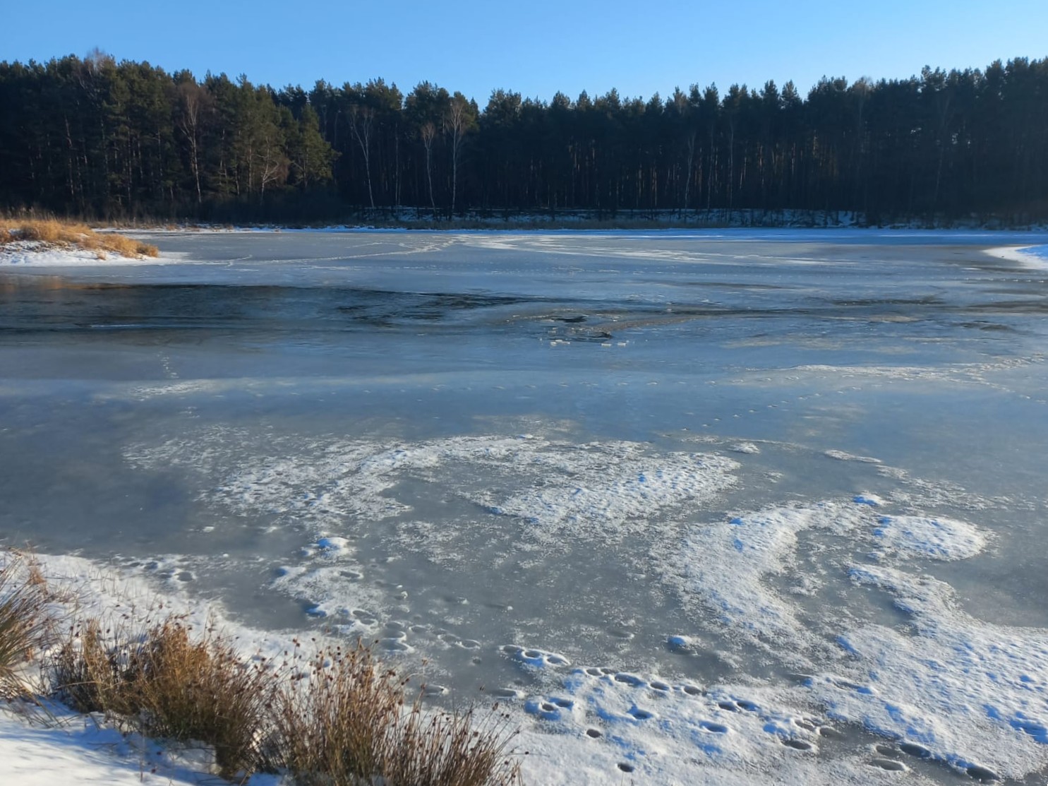Lód załamał się pod kobietą. Spacerowała z psem po zamarzniętym zalewie w Sielpi