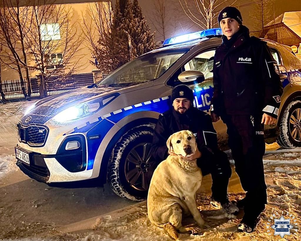 Dzięki czujności mieszkanki i pomocy policji pies nie pozostał bez pomocy